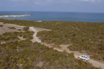 Safari Tour to Akamas Peninsula from Paphos