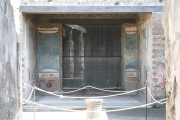 Pompeii: Guided Small Group Tour