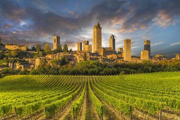 Wine Tasting & Tuscany Countryside including San Gimignano & Volterra