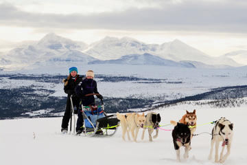 Lapland Husky Sled Safari from Tromso
