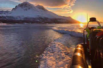 Midnight Sun RIB Cruise from Tromso