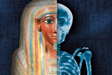 Mummies in Bruges: Secrets of Ancient Egypt Exhibition Entrance Ticket