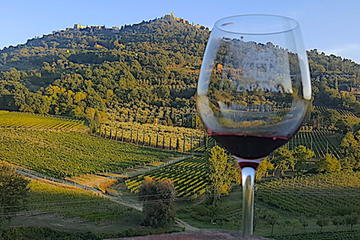 Montepulciano Wine Tour ( 3 wineries and lunch )