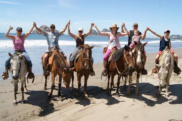 Horse Riding on Patara Beach