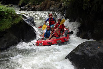 Ayung Rafting and Tanah Lot Tour