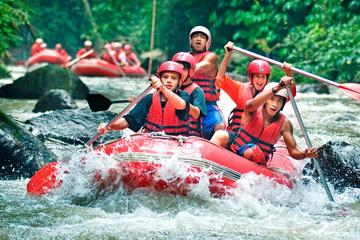 Ayung Rafting and Uluwatu Tour