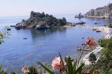 Mount Etna, Lunch in a Winery and Taormina Private Day-Trip from Messina