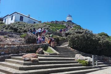 HALF DAY CPT PENINSULA TOUR