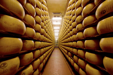 Parma Food Valley Gourmet Tour Easy