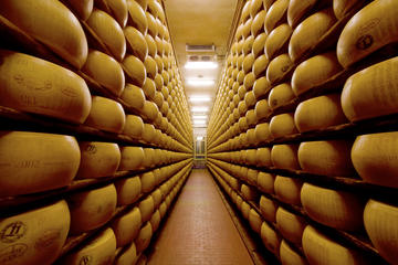 Private Emilia Romagna Food Tour from Milan