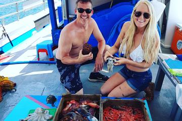 Santorini Traditional Fishing Experience and Fresh Fish Lunch