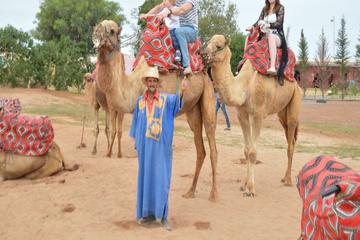 Camel ride and barbecue in Agadir