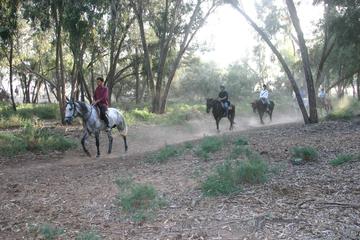Horse riding in Agadir