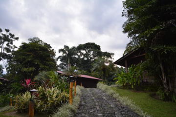 Coffee Route Experience at Finca Argovia Resort in the Soconusco Region