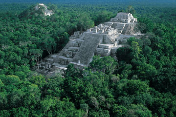 Full-Day Tour to Calakmul Ruins and Biosphere Reserve from Palenque