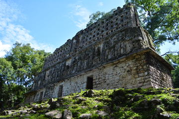 Lacandona Jungle, Yaxchilan and Bonampak Day Trip from Palenque