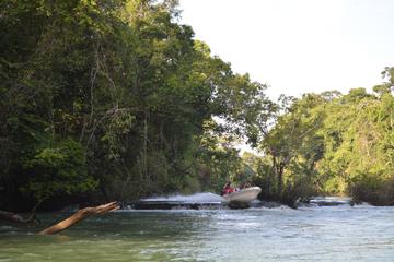 Montes Azules Biosphere Reserve Day Trip from Palenque Including Boat Ride