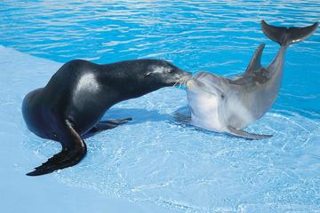 Aquarium Mar del Plata Admission Ticket