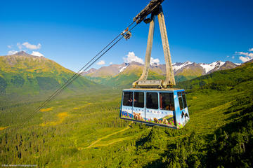 Alaska Crafted Tour and Cruise Transfer- Port of Whittier