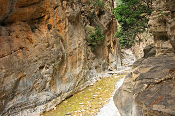 Imbros Gorge Hiking Day Trip Including Traditional Cretan Snack