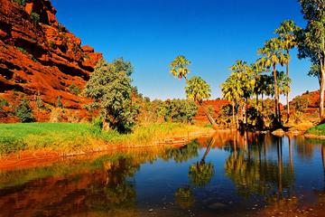 Palm Valley 4WD Day Tour