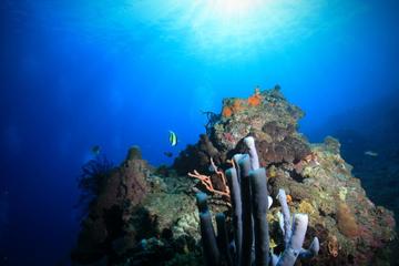 PADI Advanced Open Water Diver, Option 1, 2 days in Tulamben