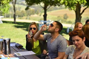 Hunter Valley Wine Tour with Cheese, Chocolate and Lunch