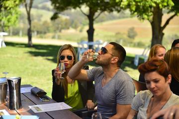 Hunter Valley Wine Tour with Cheese Chocolate Distillery and Lunch