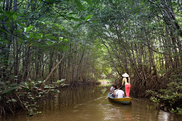 Can Gio Biosphere Reserve Tour by Luxury Speed Boat