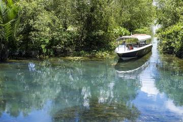 Small-Group Authentic Mekong Delta Experience by Speedboat