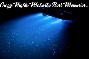 Night Time Adventure