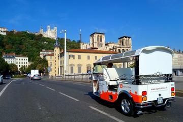 Private Tour: Lyon City Tour by Electric Tuk Tuk