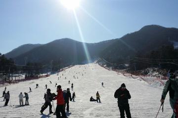9-Hour Ski Tour to Jisan Ski Resort or Yangji Resort from Seoul