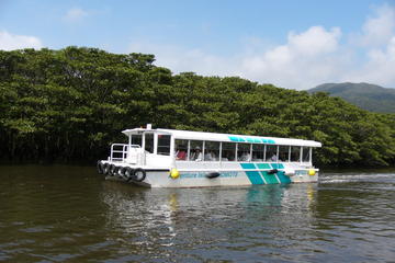 Iriomote Island and Yubu Island Tour