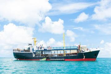 Antigua D-Boat Adventure with Optional Stingray City Tour