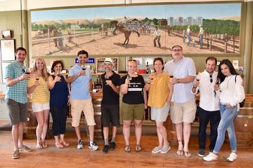 Napa and Sonoma Wine Tour from San Francisco