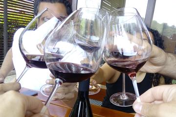 Wine tasting tour to 3 excellent wineries of different sizes, Slovenian Styria