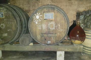 Wine tasting tour to Karst wine region