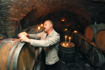 Wine tasting tour - Vipava wine region, Slovenia