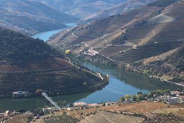 NOW Douro Valley tour 2-5 pax with Wine tasting, Regional lunch & River cruise