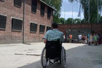 Wheelchair accessible PRIVATE transfer to Auschwitz - Birkenau