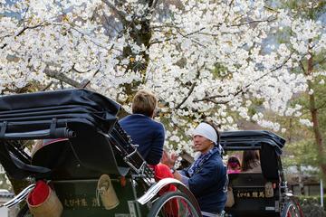 KYOTO Arashiyama - 180min SAKURA Tour