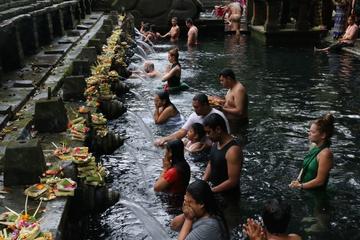 Ubud in One Day Sightseeing Tour including Lunch