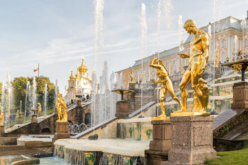 Half Day Group Tour of Peterhof Gardens and Fountains