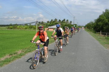 3-Day Mekong Delta Cycling Tour with Homestay Experience from Ho Chi Minh City