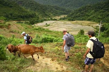 Private 3-Day Trekking Tour: Pu Luong Nature Reserve Including Homestay from Hanoi