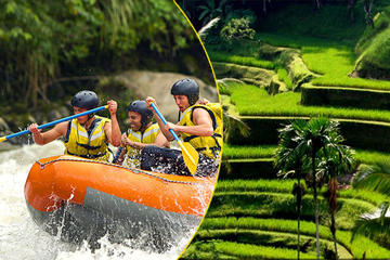 Bali Rafting and Private Combination Ubud Tour