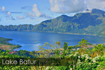 Full-Day Best of Bali Sightseeing Trip with Buffet Lunch