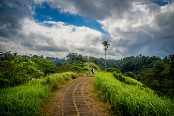 Full-day Campuhan Ridge Walk Combination Tirta Empul & Temple