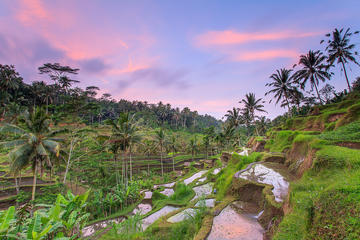 Private Ubud Full-Day Tours